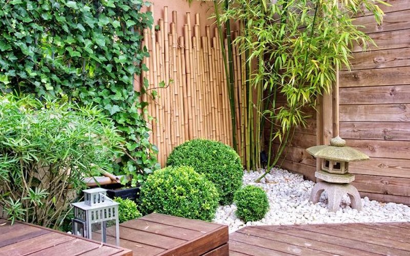 Déco bambou jardin : Des idées d'aménagement de jardins en bambou pour vous  inspirer